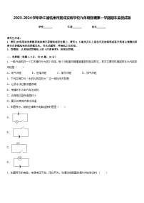 2023-2024学年浙江省杭州市景成实验学校九年级物理第一学期期末监测试题含答案