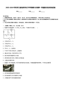 2023-2024学年浙江省杭州市育才中学物理九年级第一学期期末质量检测试题含答案