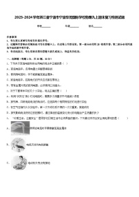 2023-2024学年浙江省宁波市宁波华茂国际学校物理九上期末复习检测试题含答案