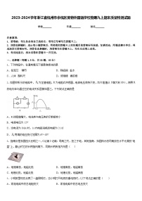 2023-2024学年浙江省杭州市余杭区英特外国语学校物理九上期末质量检测试题含答案