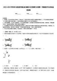 2023-2024学年浙江省杭州市萧山区城厢片五校物理九年级第一学期期末学业质量监测试题含答案