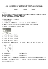 2023-2024学年浙江省宁波市鄞州区横溪中学物理九上期末达标检测试题含答案