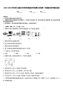 2023-2024学年浙江省嘉兴市秀洲外国语学校物理九年级第一学期期末统考模拟试题含答案