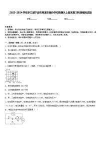 2023-2024学年浙江省宁波市慈溪市部分学校物理九上期末复习检测模拟试题含答案