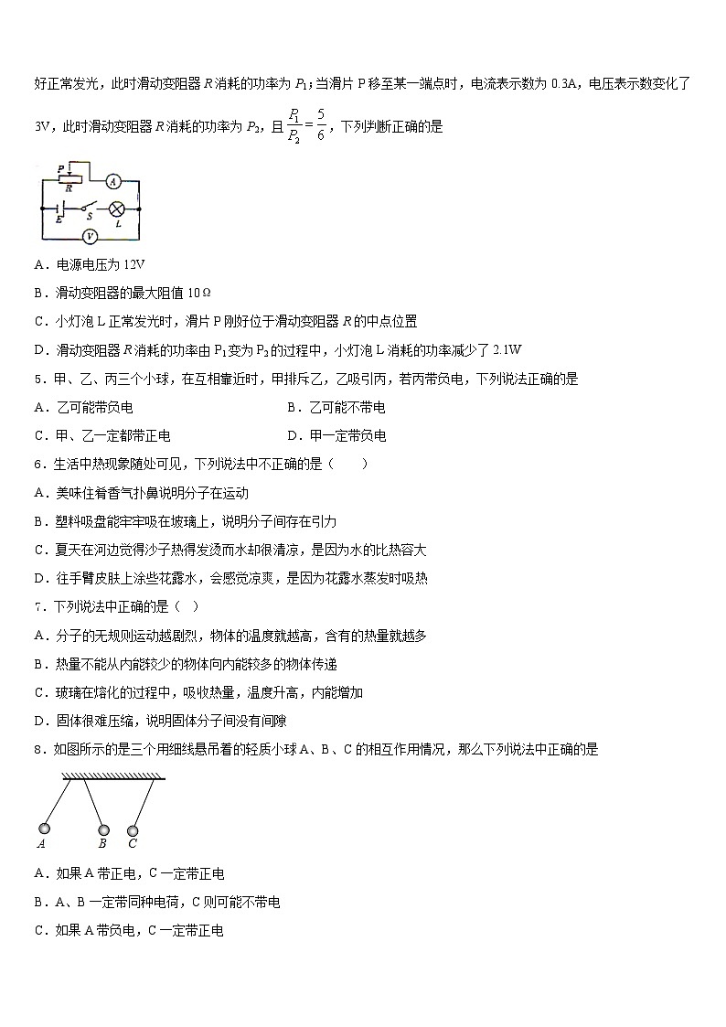 2023-2024学年浙江省宁波市象山县物理九年级第一学期期末检测试题含答案第2页