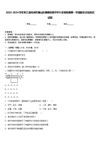 2023-2024学年浙江省杭州市萧山区朝晖初级中学九年级物理第一学期期末达标测试试题含答案