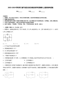 2023-2024学年浙江省宁波北仑区东海实验学校物理九上期末联考试题含答案