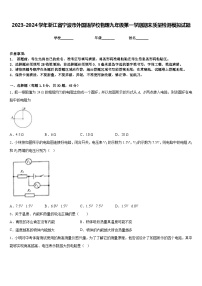 2023-2024学年浙江省宁波市外国语学校物理九年级第一学期期末质量检测模拟试题含答案