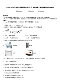 2023-2024学年浙江省杭州西兴中学九年级物理第一学期期末检测模拟试题含答案