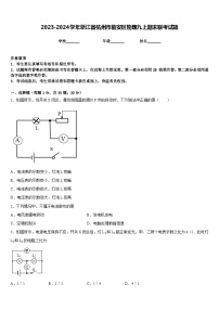 2023-2024学年浙江省杭州市临安区物理九上期末联考试题含答案