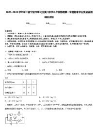 2023-2024学年浙江省宁波市奉化区溪口中学九年级物理第一学期期末学业质量监测模拟试题含答案