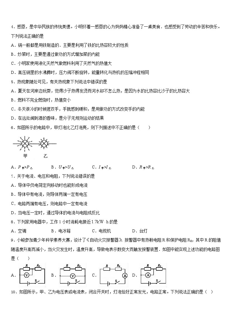2023-2024学年浙江省宁波市镇海区九上物理期末检测模拟试题含答案02