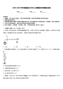 2023-2024学年海南省东方市九上物理期末经典模拟试题含答案