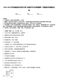 2023-2024学年海南省华东师范大第二附属中学九年级物理第一学期期末检测模拟试题含答案