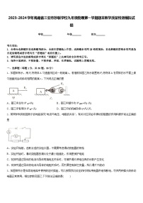 2023-2024学年海南省三亚市妙联学校九年级物理第一学期期末教学质量检测模拟试题含答案