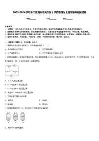 2023-2024学年浙江省湖州市吴兴区十学校物理九上期末联考模拟试题含答案