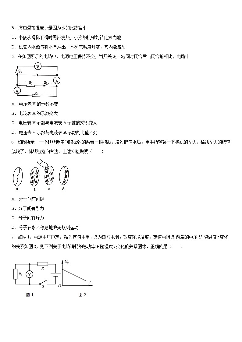 2023-2024学年浙江省绍兴市迪荡新区物理九年级第一学期期末检测模拟试题含答案02