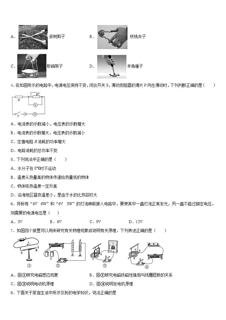 2023-2024学年浙江省金华市兰溪市实验中学九年级物理第一学期期末调研试题含答案第2页