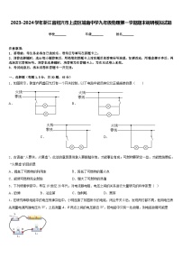 2023-2024学年浙江省绍兴市上虞区城南中学九年级物理第一学期期末调研模拟试题含答案