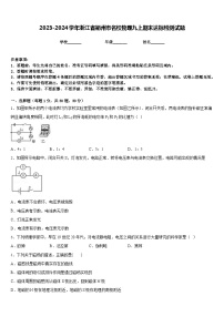 2023-2024学年浙江省衢州市名校物理九上期末达标检测试题含答案