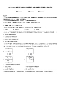 2023-2024学年浙江省绍兴市柯桥区九年级物理第一学期期末统考试题含答案