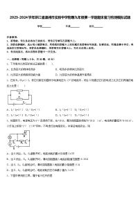 2023-2024学年浙江省温州市实验中学物理九年级第一学期期末复习检测模拟试题含答案