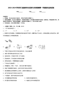 2023-2024学年浙江省温州市永嘉县九年级物理第一学期期末监测试题含答案