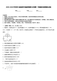 2023-2024学年浙江省温州市苍南县物理九年级第一学期期末调研模拟试题含答案