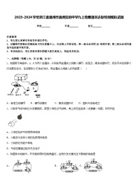 2023-2024学年浙江省温州市温州实验中学九上物理期末达标检测模拟试题含答案