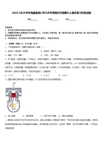 2023-2024学年海南省海口市九中学海甸分校物理九上期末复习检测试题含答案