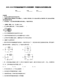 2023-2024学年海南省海南中学九年级物理第一学期期末达标检测模拟试题含答案