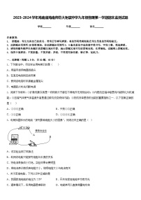 2023-2024学年海南省海南师范大附属中学九年级物理第一学期期末监测试题含答案