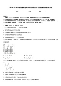 2023-2024学年湖北恩施龙凤民族初级中学九上物理期末统考试题含答案