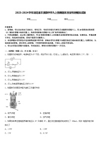 2023-2024学年湖北省丰溪镇中学九上物理期末质量检测模拟试题含答案