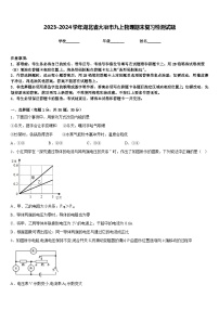 2023-2024学年湖北省大冶市九上物理期末复习检测试题含答案