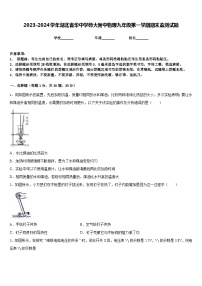 2023-2024学年湖北省华中学师大附中物理九年级第一学期期末监测试题含答案