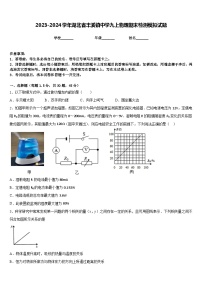 2023-2024学年湖北省丰溪镇中学九上物理期末检测模拟试题含答案