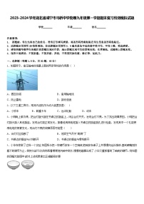 2023-2024学年湖北省咸宁市马桥中学物理九年级第一学期期末复习检测模拟试题含答案