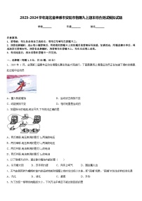 2023-2024学年湖北省孝感市安陆市物理九上期末综合测试模拟试题含答案