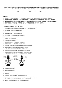 2023-2024学年湖北省咸宁市赤壁市中学物理九年级第一学期期末达标检测模拟试题含答案