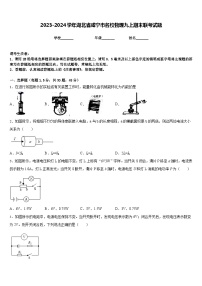 2023-2024学年湖北省咸宁市名校物理九上期末联考试题含答案