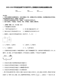 2023-2024学年湖北省咸宁市天城中学九上物理期末质量跟踪监视模拟试题含答案