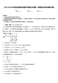 2023-2024学年湖北省宜昌市宜昌中学物理九年级第一学期期末达标检测模拟试题含答案