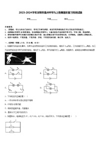 2023-2024学年深圳市重点中学九上物理期末复习检测试题含答案