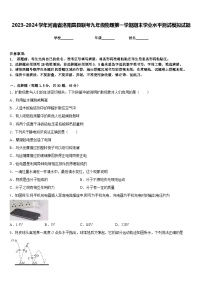 2023-2024学年河南省洛阳嵩县联考九年级物理第一学期期末学业水平测试模拟试题含答案