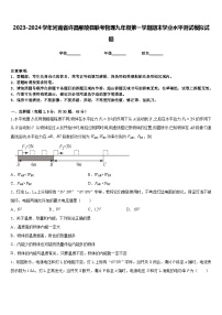 2023-2024学年河南省许昌鄢陵县联考物理九年级第一学期期末学业水平测试模拟试题含答案