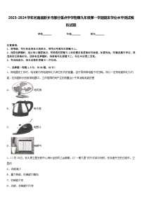 2023-2024学年河南省新乡市部分重点中学物理九年级第一学期期末学业水平测试模拟试题含答案