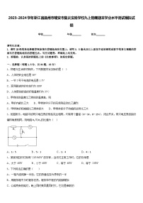 2023-2024学年浙江省温州市瑞安市集云实验学校九上物理期末学业水平测试模拟试题含答案