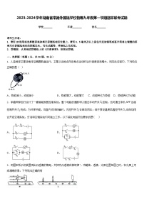 2023-2024学年湖南省常德外国语学校物理九年级第一学期期末联考试题含答案