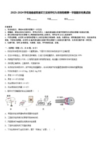 2023-2024学年湖南省常德芷兰实验学校九年级物理第一学期期末经典试题含答案